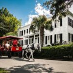 1 beauforts 1 horse carriage history tour Beaufort's #1 Horse & Carriage History Tour