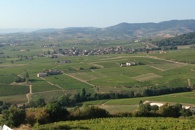 Beaujolais Crus Wines & Castles (2:00 Pm – 6:30 Pm) – Small Group Tour From Lyon