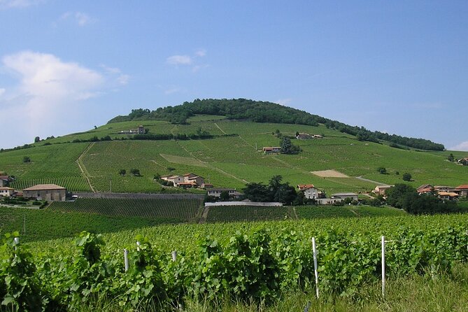 Beaujolais Half Day Wine Tasting Tour