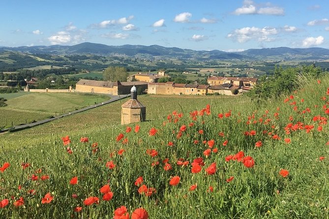 Beaujolais & Perouges Medieval Town – Private Tour – Full Day From Lyon