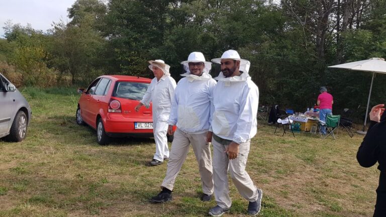 Bees in Romania – Private Beekeeping Lesson and Local Lunch