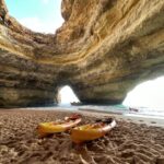 1 benagil kayak tour through caves and praia da marinha Benagil: Kayak Tour Through Caves and Praia Da Marinha