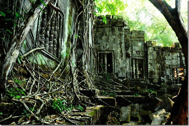 1 beng mealea temple kampong khleang day trip Beng Mealea Temple & Kampong Khleang Day Trip