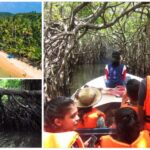 1 bentota beach river mangroves lagoon wildlife tour Bentota Beach, River Mangroves Lagoon, Wildlife Tour