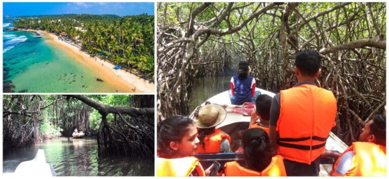 Bentota Beach, River Mangroves Lagoon, Wildlife Tour