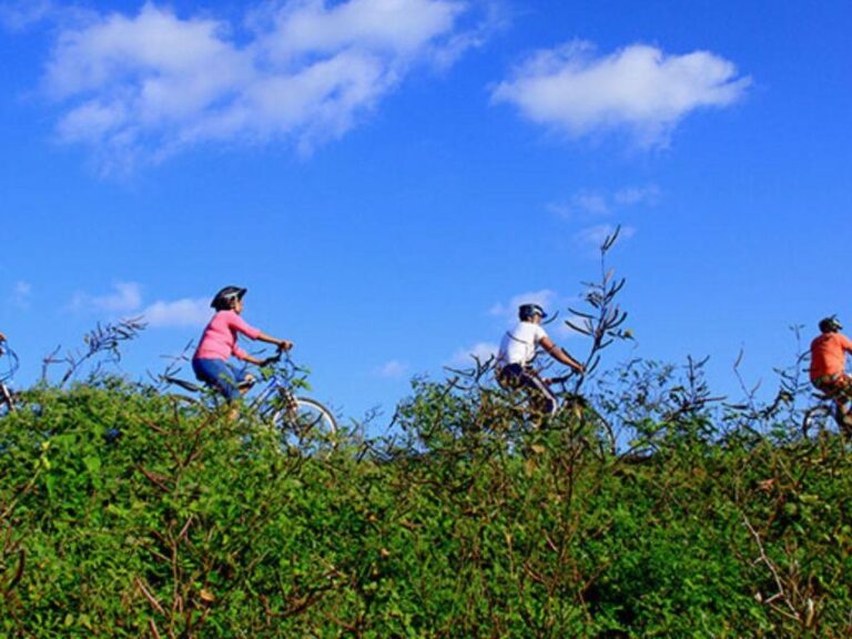 Bentota Bliss: Countryside Cycling Escape