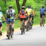 1 bentota toddy hunting cycling tour in the countryside Bentota: Toddy Hunting Cycling Tour in the Countryside