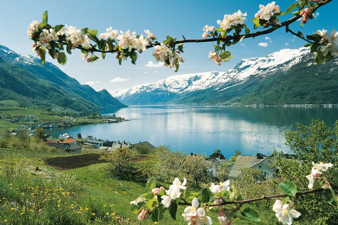 Bergen: Private Full-Day Roundtrip to Hardangerfjord With Cruise