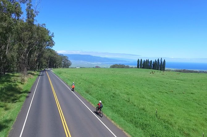 1 best haleakala downhill self guided bike tour with maui sunriders Best Haleakala Downhill Self-Guided Bike Tour With Maui Sunriders