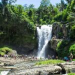 1 best of bali tour all inclusive Best of Bali Tour - All Inclusive