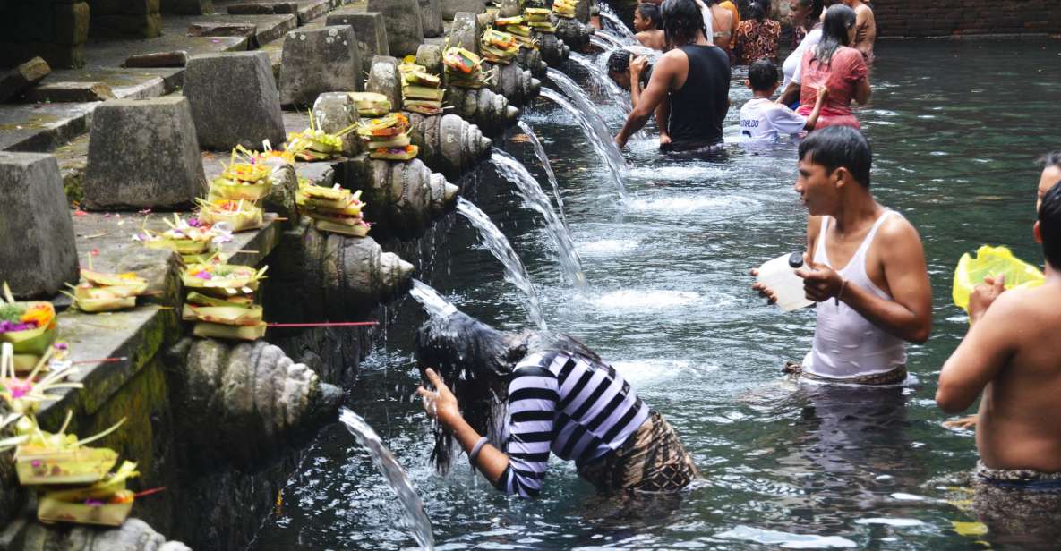 1 best of central bali waterfall elephant cave rice fields Best of Central Bali: Waterfall, Elephant Cave & Rice Fields