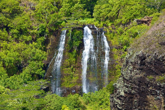 Best of Kauai Tour by Land and River