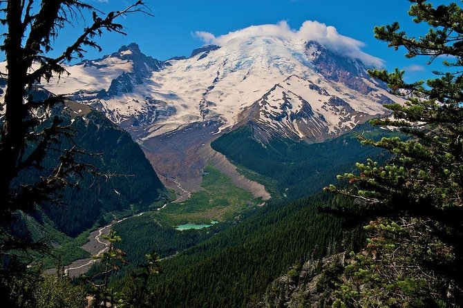 Best of Mount Rainier National Park From Seattle: All-Inclusive Small-Group Tour