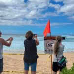 1 best of oahu full day small group island tour Best of Oahu Full-Day Small-Group Island Tour