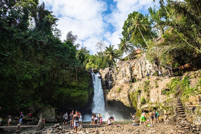 Best of Ubud Full-Day Tour With Entry Tickets