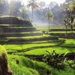 1 best of ubud tour all inclusive private trip Best of Ubud Tour : All Inclusive & Private Trip