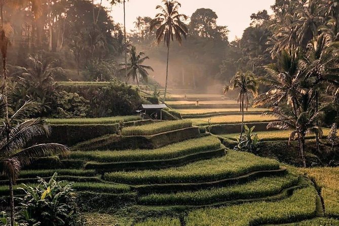 Best of Ubud Waterfalls, Tegalalang Rice Terrace and Swing Tour - Cancellation Policy