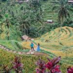 1 best of ubuds highlights full day tour Best of Ubud's Highlights Full-Day Tour