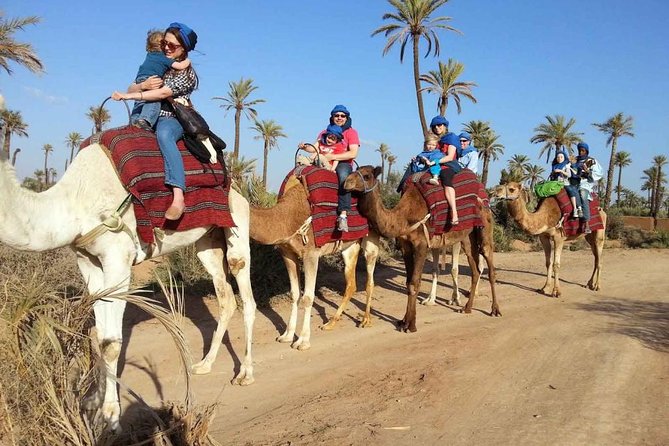 Best Sunset Camel Ride With Tea Break in Palm Grove of Marrakech