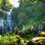 1 big island full day adventure tour of the kohala waterfalls Big Island: Full Day Adventure Tour of the Kohala Waterfalls