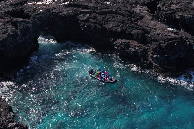 Big Island, Hawaii: Zodiac Snorkel Tour to Kealakekua Bay (Mar )
