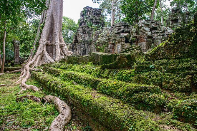 Bike the Angkor Temples Tour, Bayon, Ta Prohm With Lunch Included