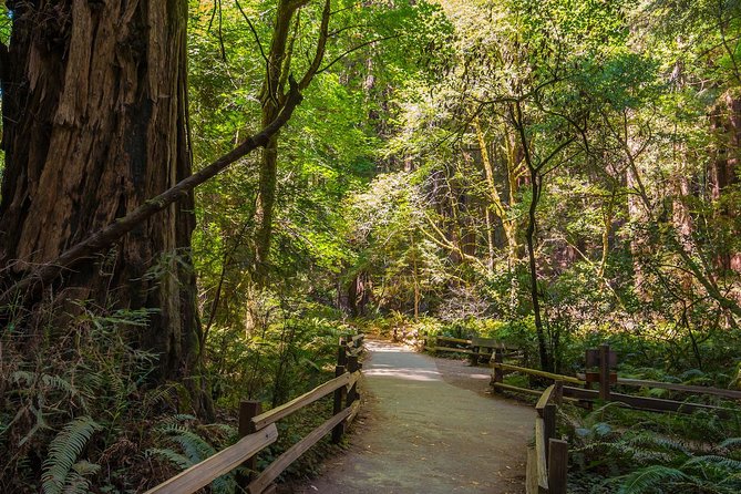 Bike the Golden Gate Bridge and Shuttle Tour to Muir Woods - Tour Highlights