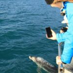 1 bird watching and dolphin eco tour from picton Bird Watching and Dolphin Eco-Tour From Picton