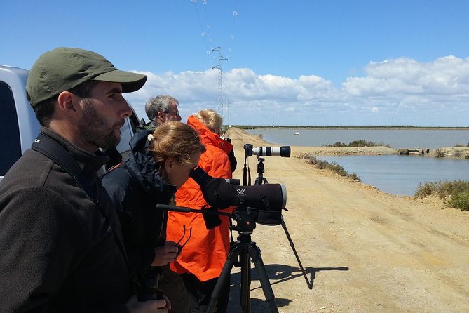 1 bird watching and wildlife tour in donana mar Bird-Watching and Wildlife Tour in Donana (Mar )