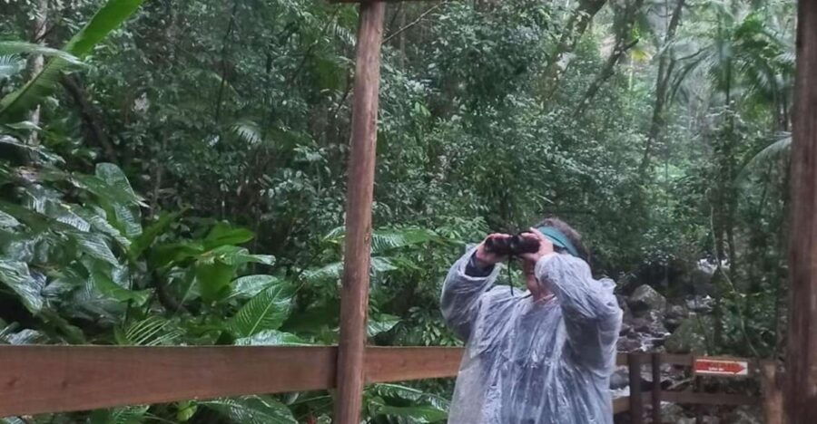 Birdtour Jaguar Waterfall