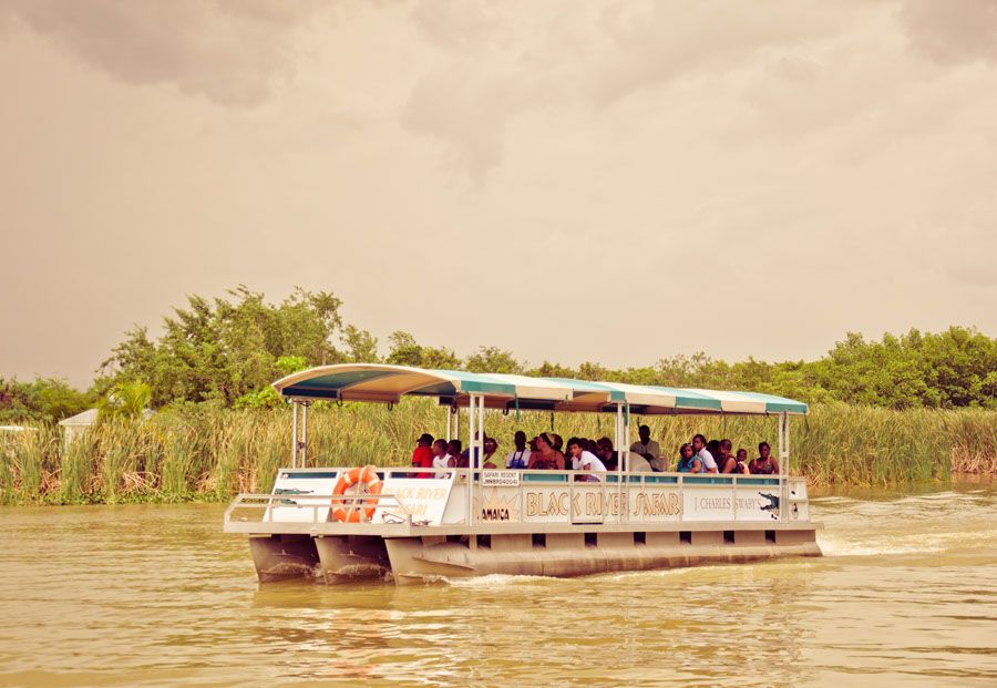 1 black river safari tour from montego bay Black River Safari Tour From Montego Bay