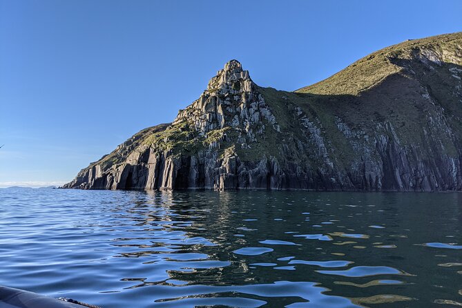 Blasket Islands Wildlife Boat Tour From Dingle (Mar )