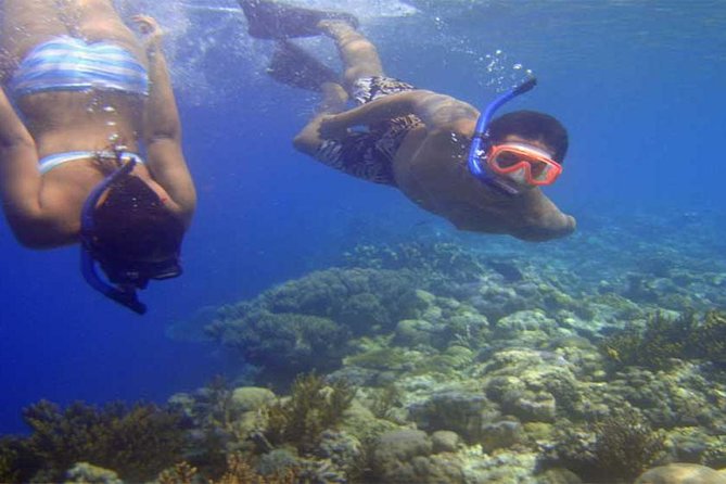 1 blue lagoon bali snorkeling activities all inclusive Blue Lagoon Bali Snorkeling Activities All Inclusive