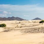 1 boa vista full day 4x4 island tour with beachfront lunch Boa Vista Full Day 4x4 Island Tour With Beachfront Lunch