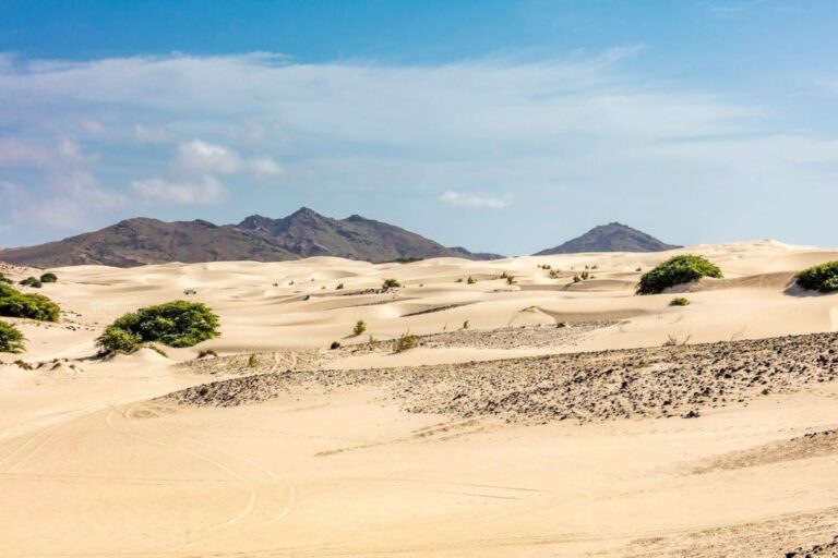 Boa Vista Full Day 4×4 Island Tour With Beachfront Lunch