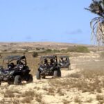 1 boa vista island dunes desert sal rei 4wd buggy adventure Boa Vista Island: Dunes, Desert &Sal Rei 4WD Buggy Adventure