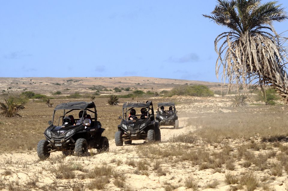 1 boa vista island dunes desert sal rei 4wd buggy adventure Boa Vista Island: Dunes, Desert &Sal Rei 4WD Buggy Adventure