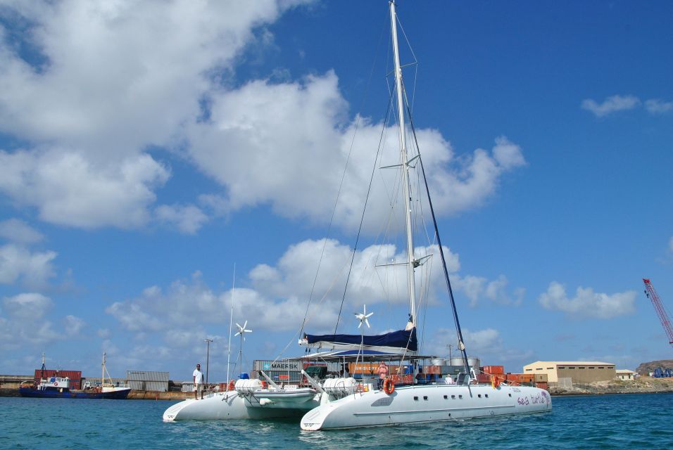 1 boa vista whale watching Boa Vista: Whale Watching Expedition