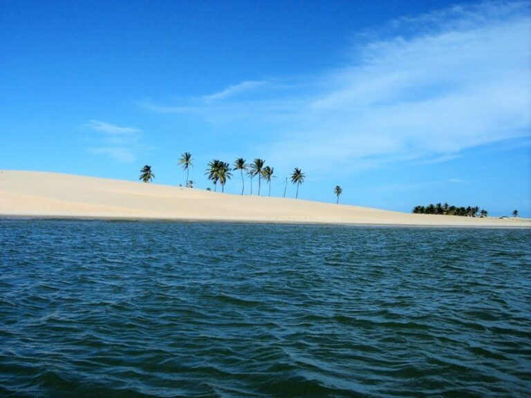 Boat Ride: São Francisco River, the Largest in Brazil