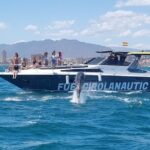 1 boat trip in fuengirola dolphin watching and drinks Boat Trip in Fuengirola, Dolphin Watching and Drinks