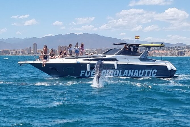 1 boat trip in fuengirola dolphin watching and drinks Boat Trip in Fuengirola, Dolphin Watching and Drinks