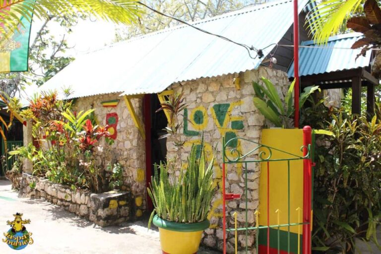 Bob Marley Birthplace and Dunn’s River Falls Private Tour