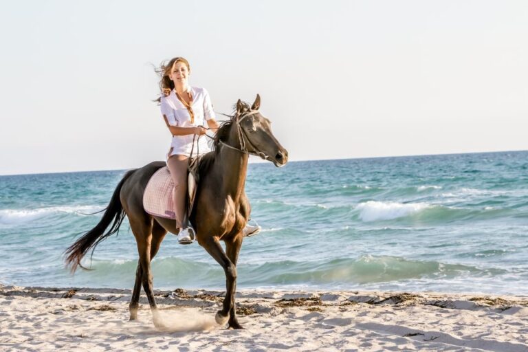 Bodrum: Horseback Riding Experience