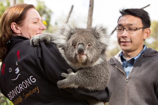 1 bonorong wildlife park and richmond afternoon tour from hobart Bonorong Wildlife Park and Richmond Afternoon Tour From Hobart