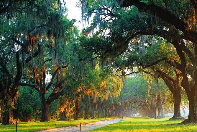 Boone Hall Plantation All-Access Admission Ticket