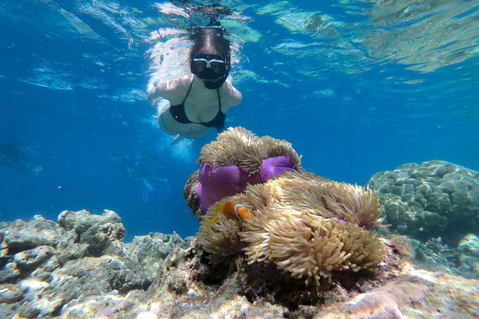 1 boracay private island hopping snorkeling tour Boracay: Private Island Hopping & Snorkeling Tour