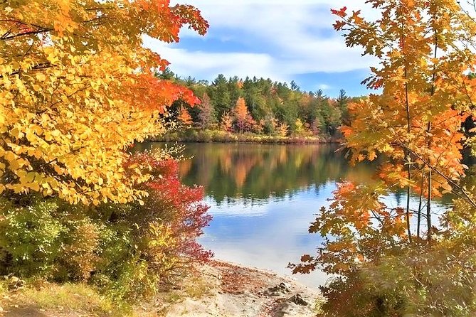 Boston to New Hampshire Fall Foliage White Mountains Day Trip