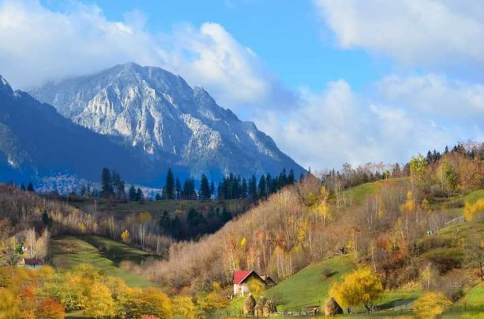 Brasov: Craiuli Mountains Hike & Bear Sanctuary Private Trip - Cost and Reviews