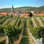 1 bratislava 6 hour carpathian wine tour and tasting Bratislava: 6-Hour Carpathian Wine Tour and Tasting