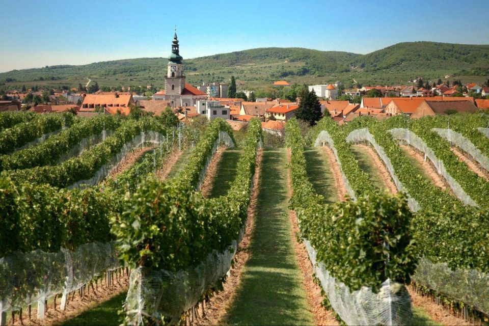 1 bratislava 6 hour carpathian wine tour and tasting Bratislava: 6-Hour Carpathian Wine Tour and Tasting